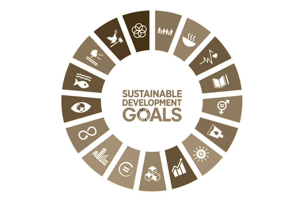 UN Sustainable Development Goals wheel